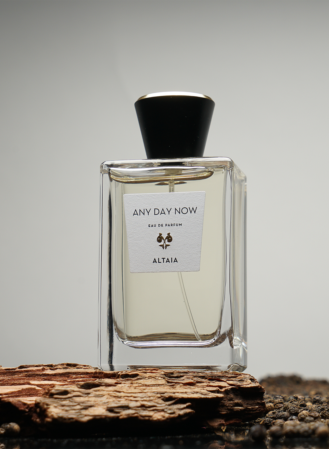 Aromatic ANY DAY NOW Eau De Parfum