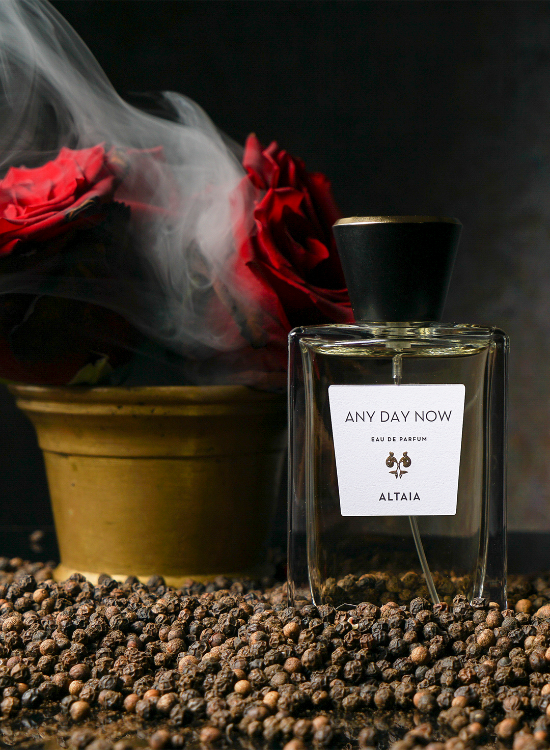 Aromatic ANY DAY NOW Eau De Parfum